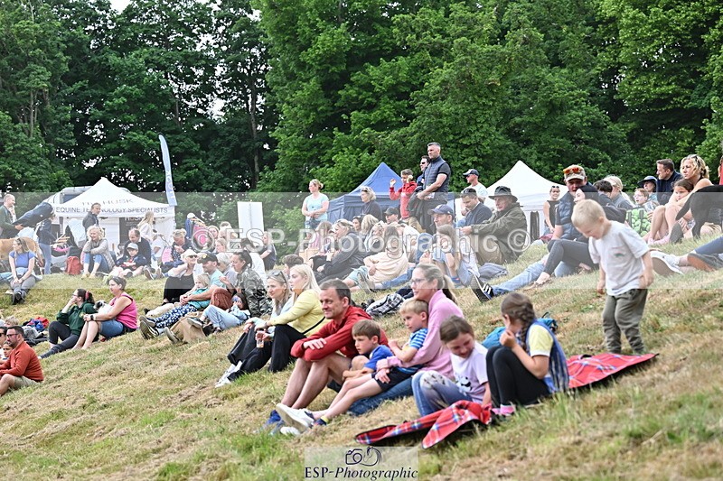 250524A-160001-13090 - Demo Arena Crowds