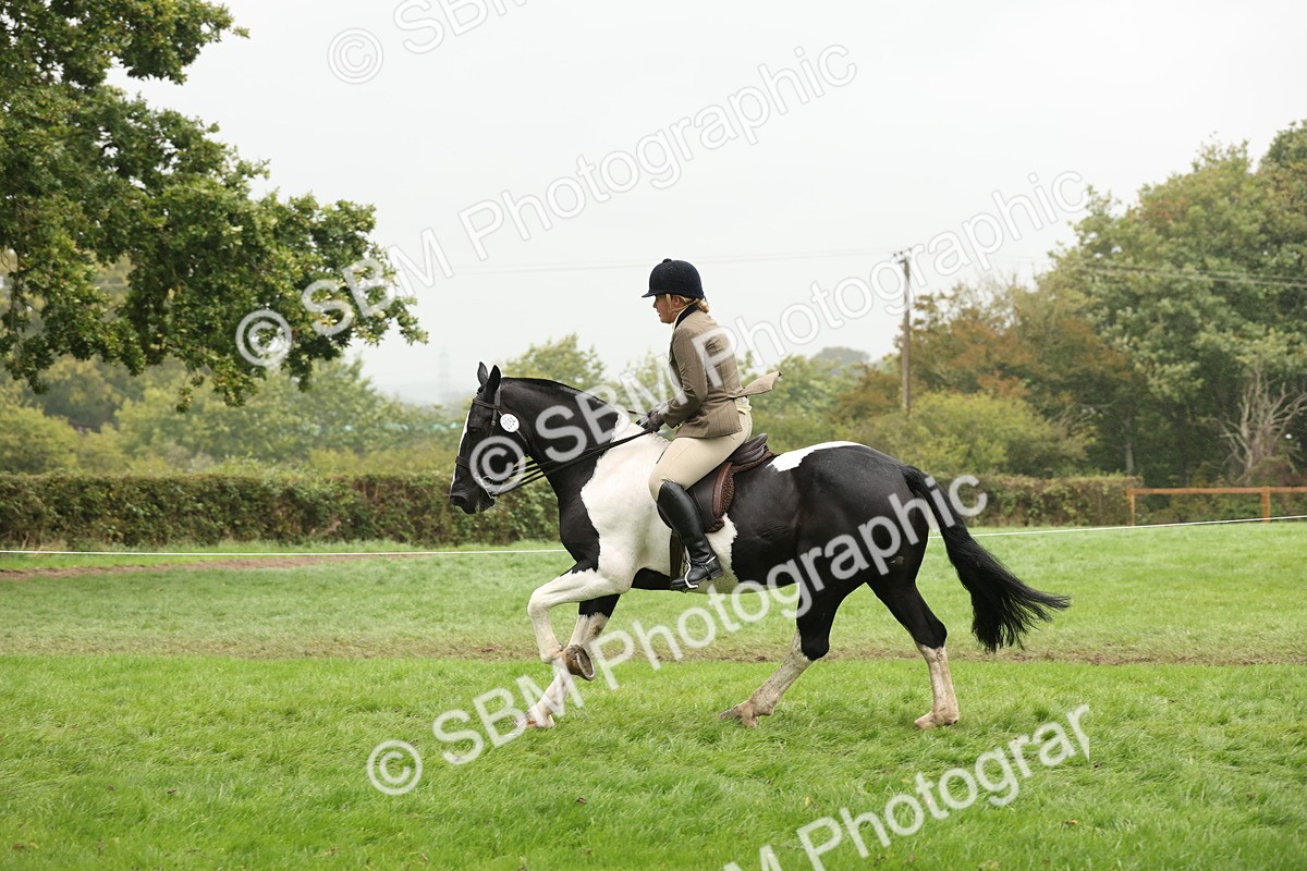 SBM_69819 - S69 - Show Cob Ridden