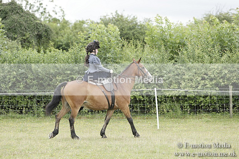 BVR160717-2416 - Side Saddle Classes 16/07/17