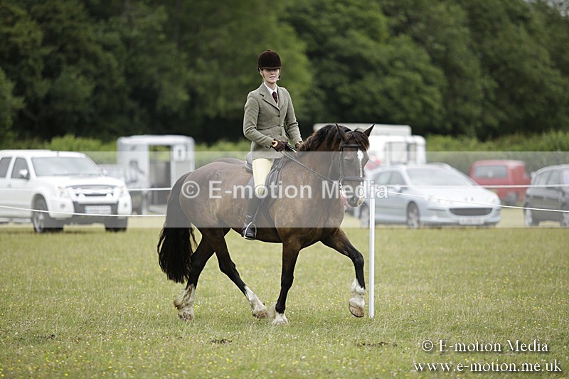 BVR160717-1319 - Ring 1 BVRC Show 16/07/17