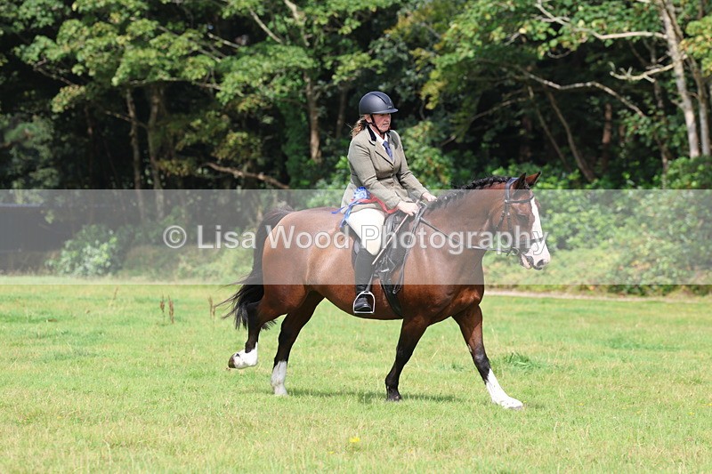 3E7A6108 - Working Hunter Championship