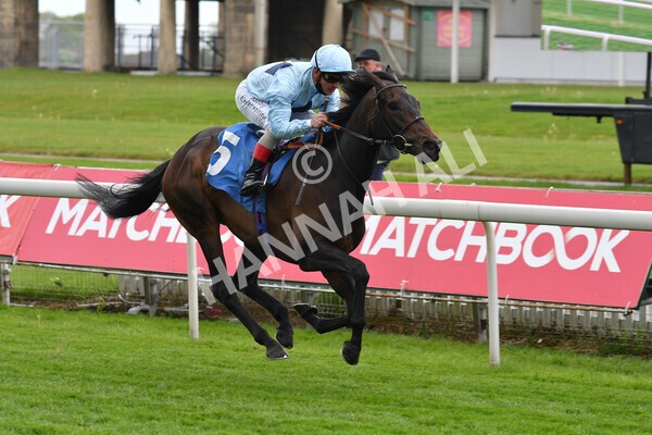 yr14052021r2-12 - Race 2 2.10pm Oak Farm Stables Fillies' Stakes (registered as the Michael Seely Memorial Stakes)