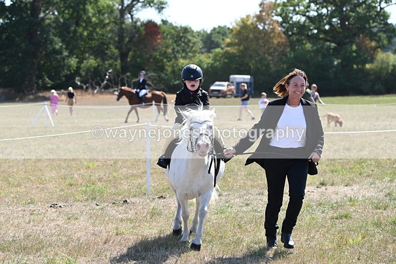 WJ6_7889 - Class 36 Lead Rein