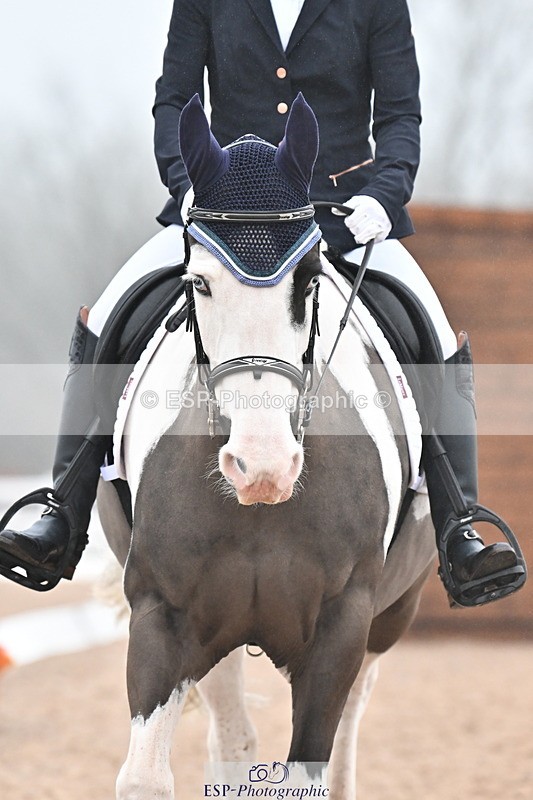 240217A-120910-02125 - 100-Gemma.Pine-Major.IV