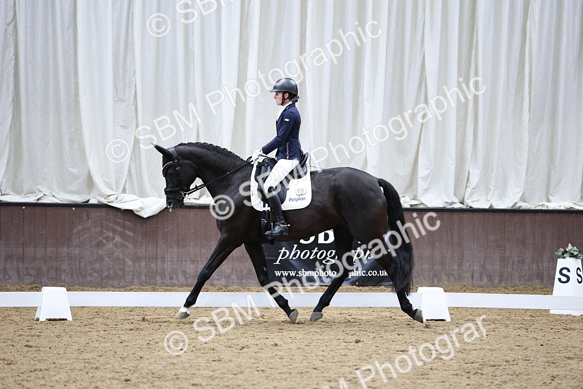 SBM_001195 - Class 5 - Novice 6