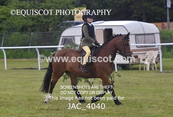 JAC_4040 - 40CM WORKING HUNTER