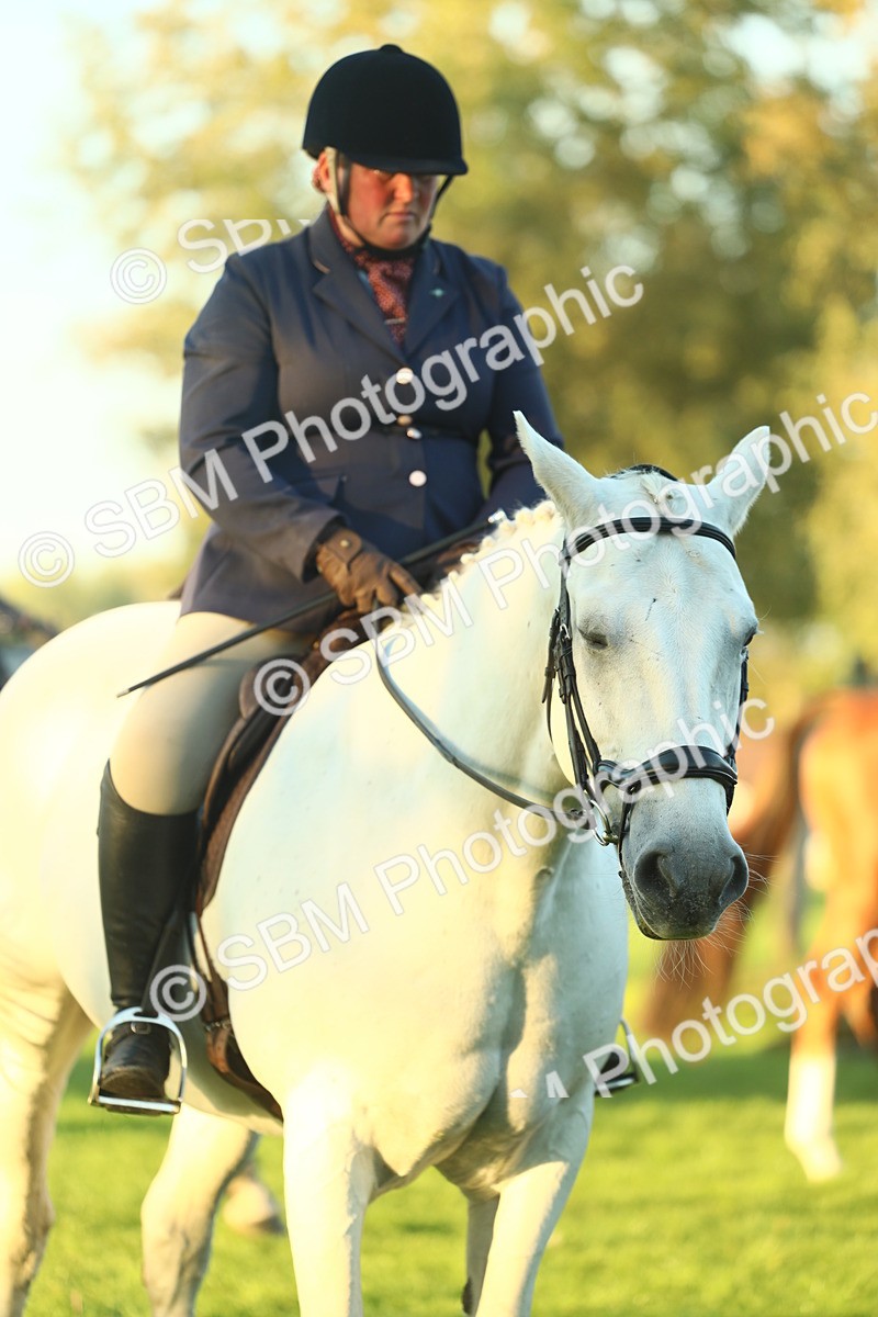 SBM_56511 - S14 - Riding Club Horse