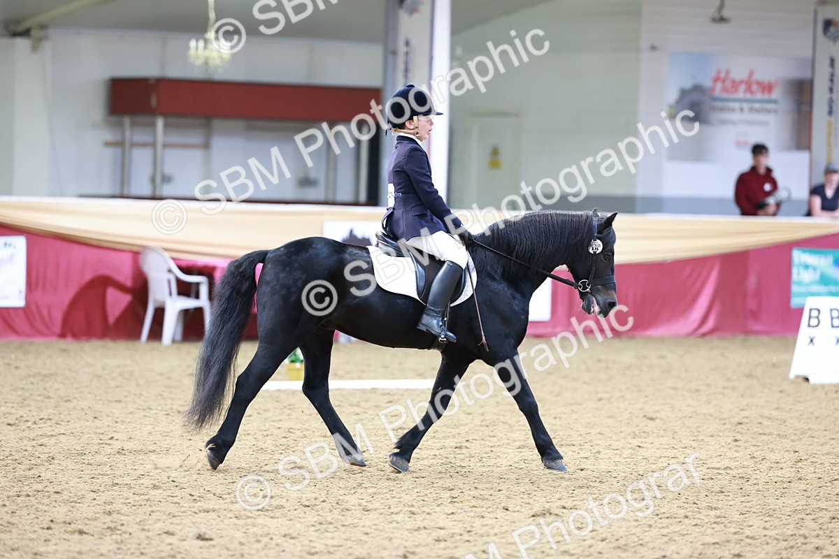 SBM_09208 - Class 61 - Dressage to Music