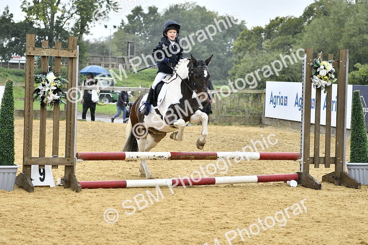 SBM_70792 - J3 - Mini Tour Junior Pony 40cm championship
