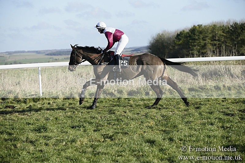 PtP 070118 -304 - Larkhill Racing Club Point to Point Larkhill 07/01/2018