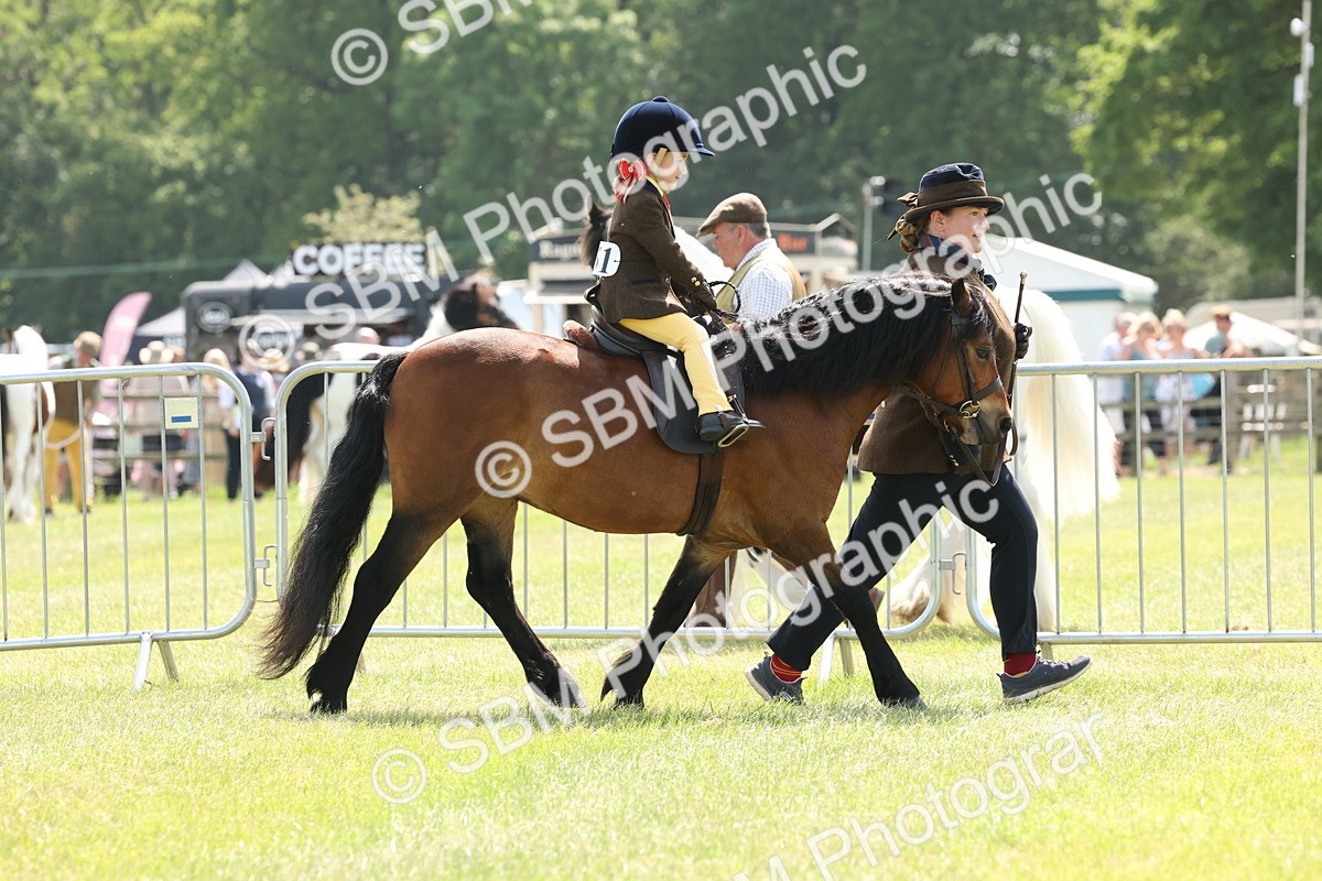 SBM_05185 - Class 24-25 - Mountain & Moorland In Hand Lead Rein and First Ridden