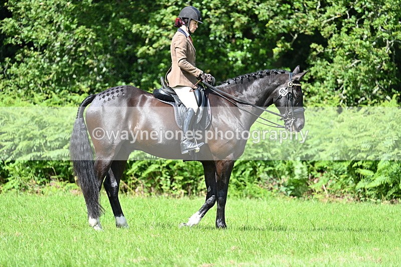 WJ7_1045 - Class 11 Condition & Turnout