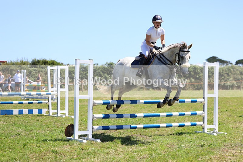 3E7A5580 - Class 9: Senior British Novice/90cm open