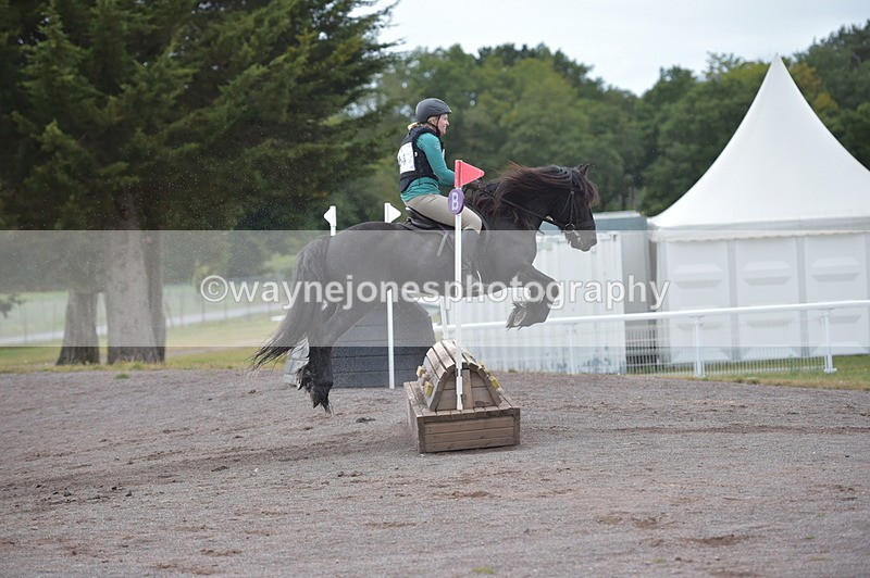 NGP_2828 - XC Time 11:37 to 11:57