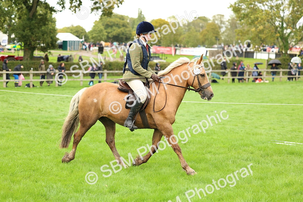 1I0A1442 - S32 - Mountain & Moorland Working Hunter Pony