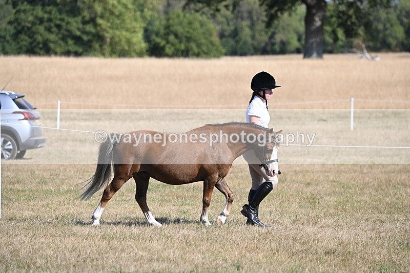 WJ6_7401 - Class 34 Judges Choice