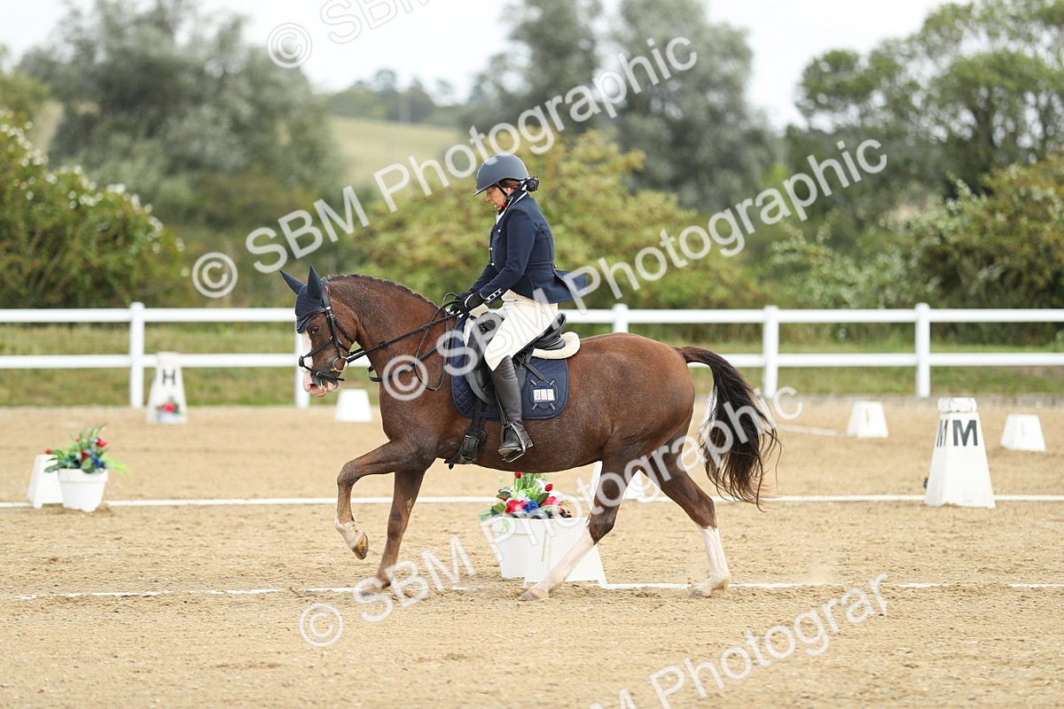 SBM_016299 - Class 13 - Novice 23 - 11.25-12.35