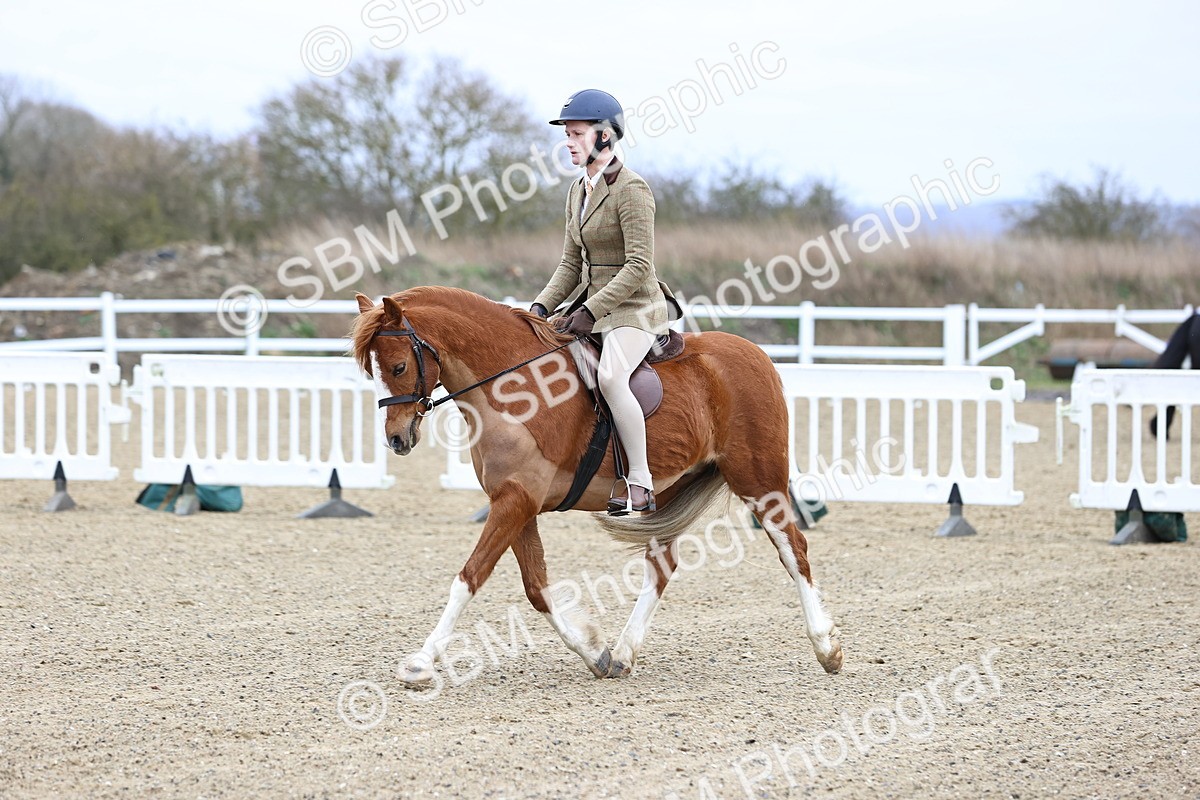 SBM_006815 - Class 29 - 30 - M&M Pure Novice Small-Large Breeds