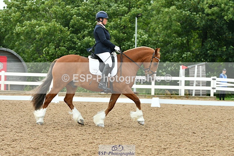 230708A-113041-01098 - Novice 23