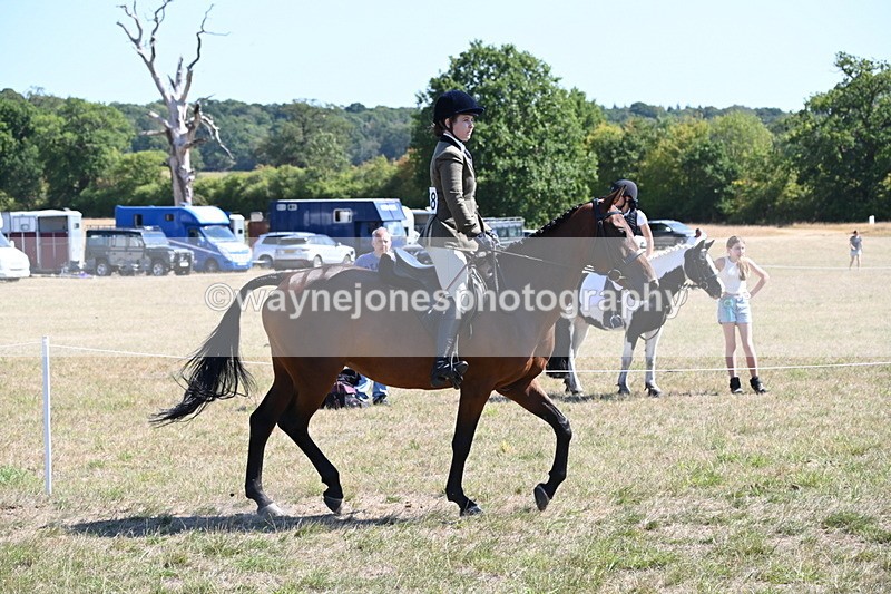 WJ6_8361 - Class 37a Best Loan Pony Ridden