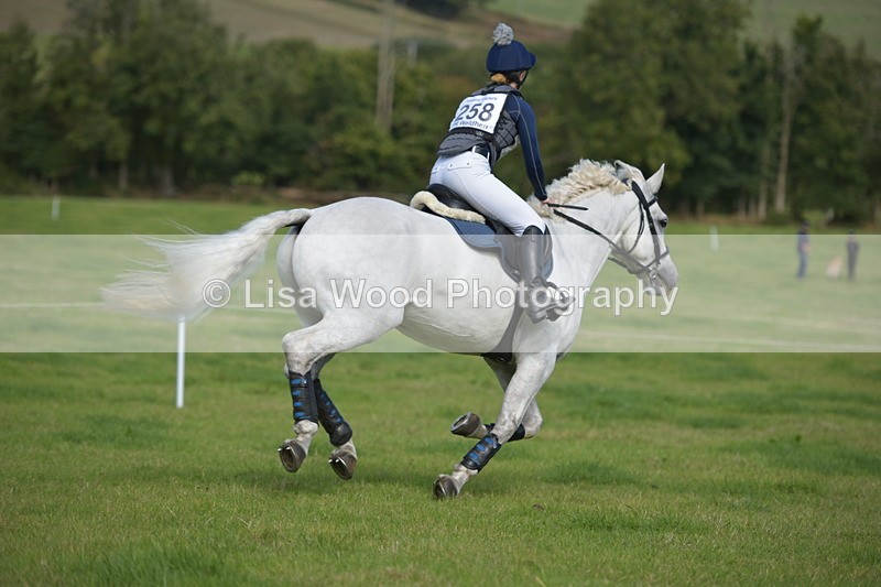 RAY_8833 - Class 2: Trekenning Open: Wall