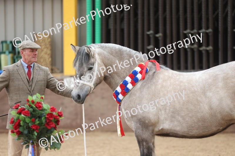 20251109-1243 - Supreme Championship