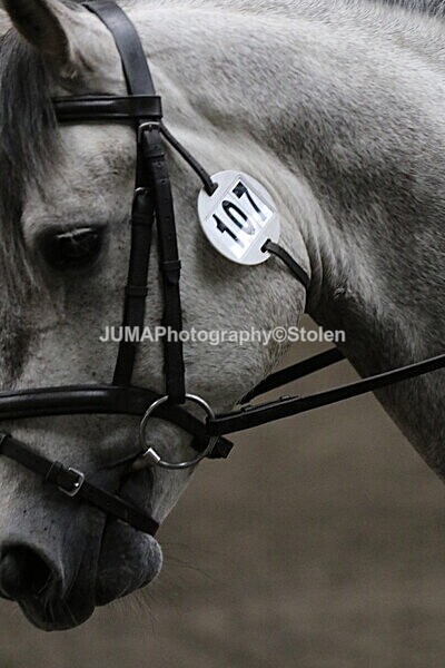 SIAL4046 - CAbin Dressage 5th july 2025