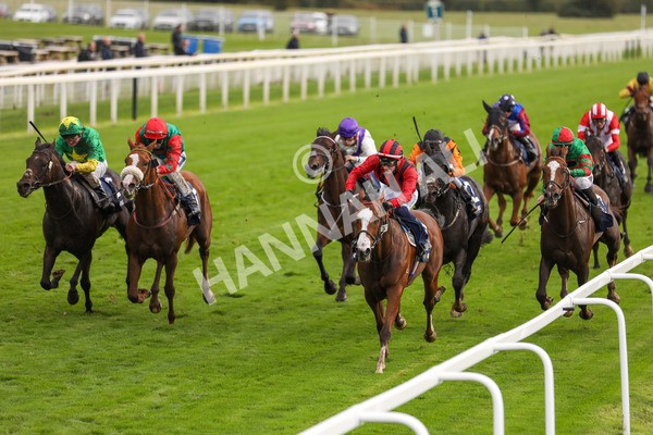 131023-Race 4-Hafeet Alain-9809 - Race 4 3.50pm William Hill Autumn Mile Handicap