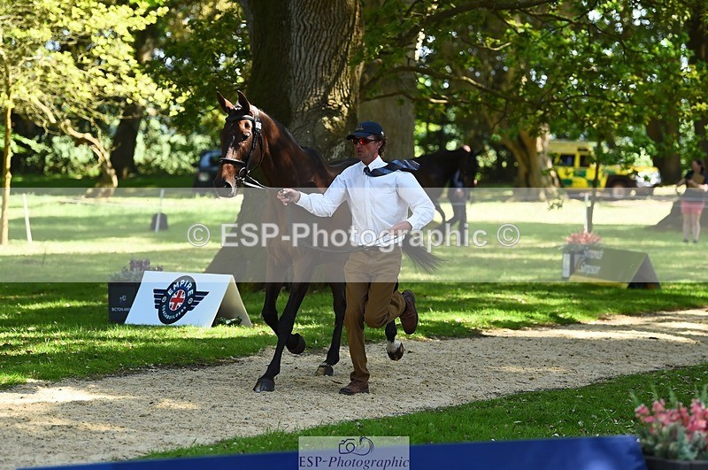 230524-153536-00375 - 361-FINCH_FANCY-Ben_Lee_Liles-WEDTrotUp+DR