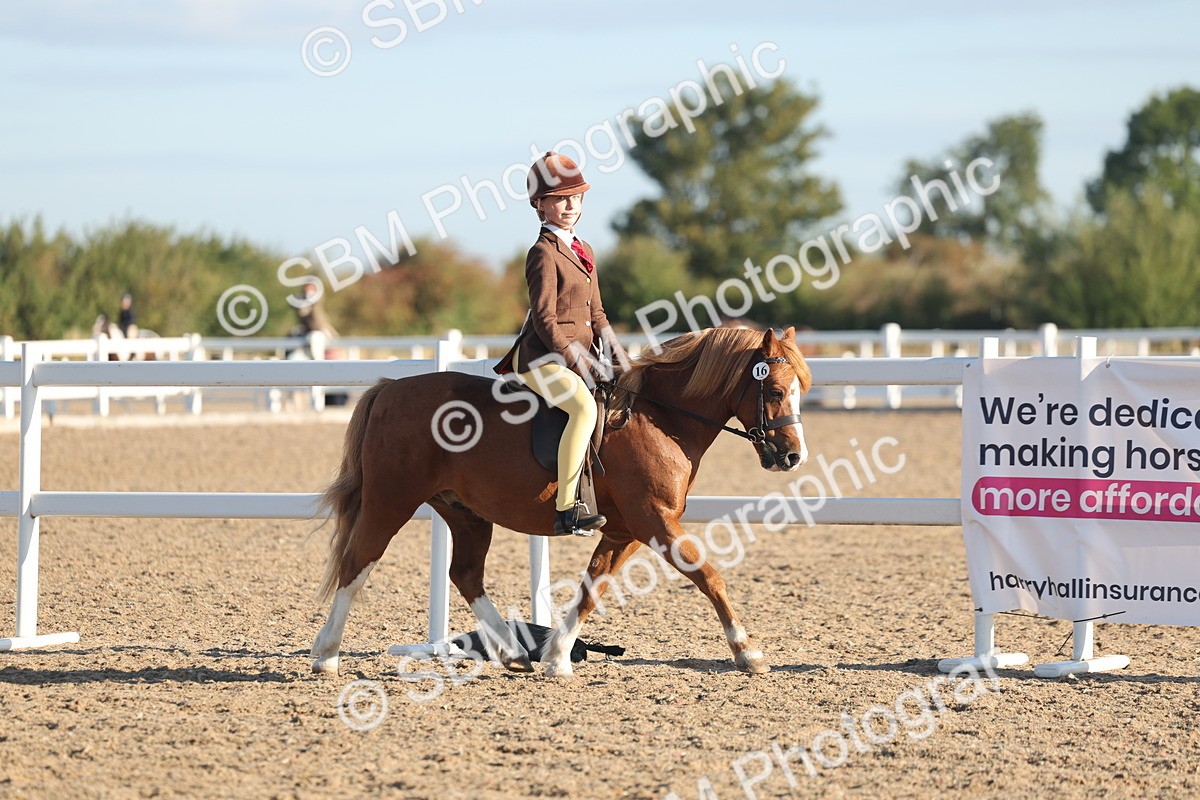 SBM_10897 - Class 301 - Ridden M&M Small Breeds