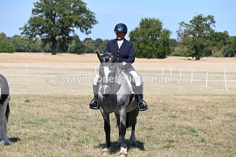 WJ6_9076 - Class 38 Ridden Riding Horse/Pony