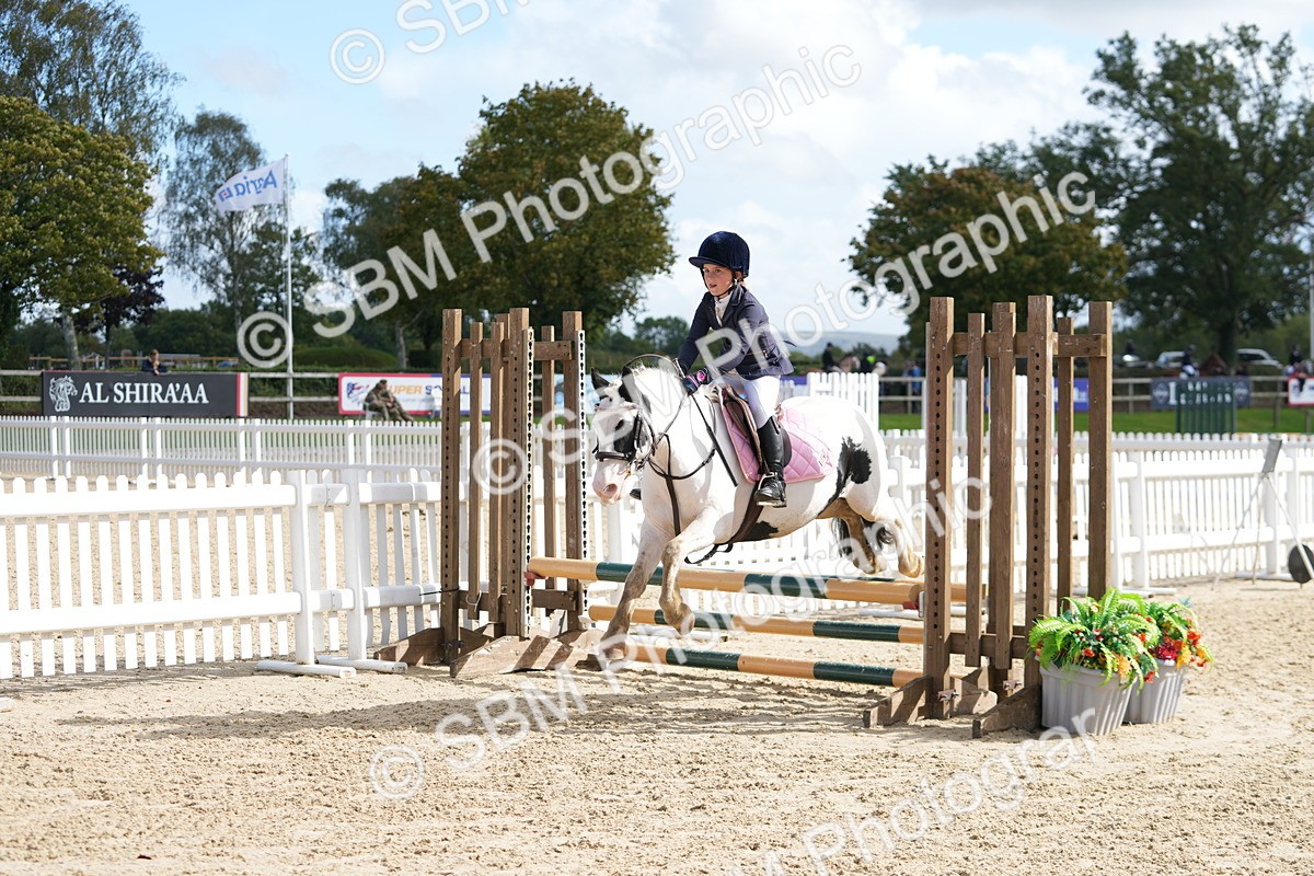 SBM_46783 - J7 - Junior Pony 60cm Championship