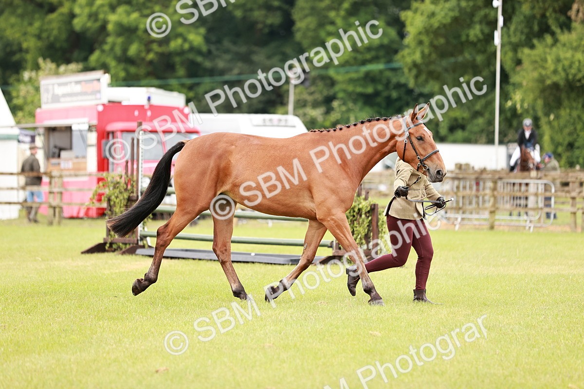 SBM_00786 - Class 26-30 Sport Horse In Hand