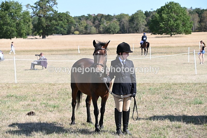 WJ6_7626 - Class 34 Judges Choice