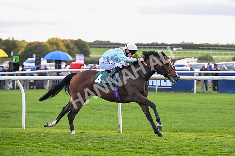 171026-Race 7-Lexington Blitz-6412 - Race 7 4.45pm William Hill Catterick Dash Handicap