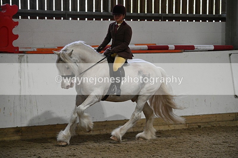 WJ7_4202 - Class 17 Ridden Cob