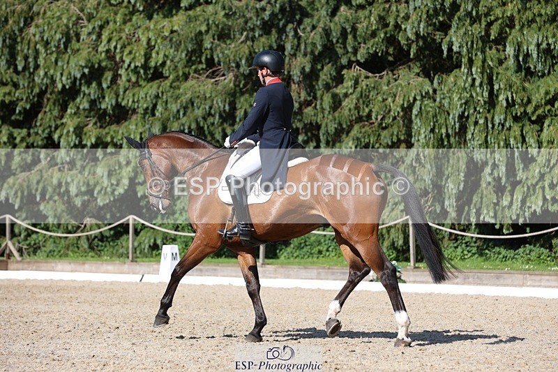 230526-170624-07907 - 175-MONBEG_EQUITY-Tom_McEwen-WEDTrotUp+DR