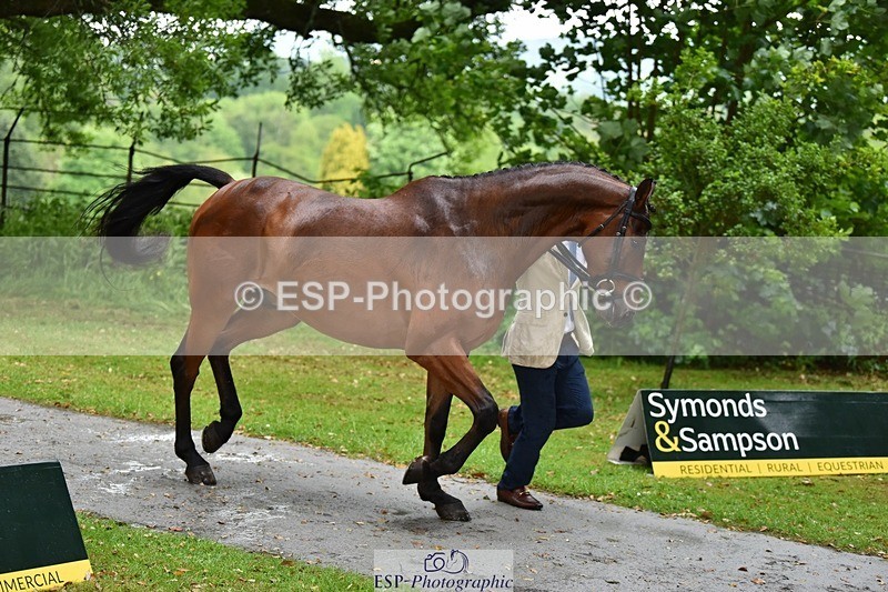 240522-152112-00282 - 324-COOMBELAND_SEMILLY-Rupert_Batting
