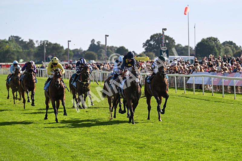 060926-Race 5-Extremely Zain-8377 - Race 5 3.50pm Starman At Tally Ho Stud Garrowby Stakes