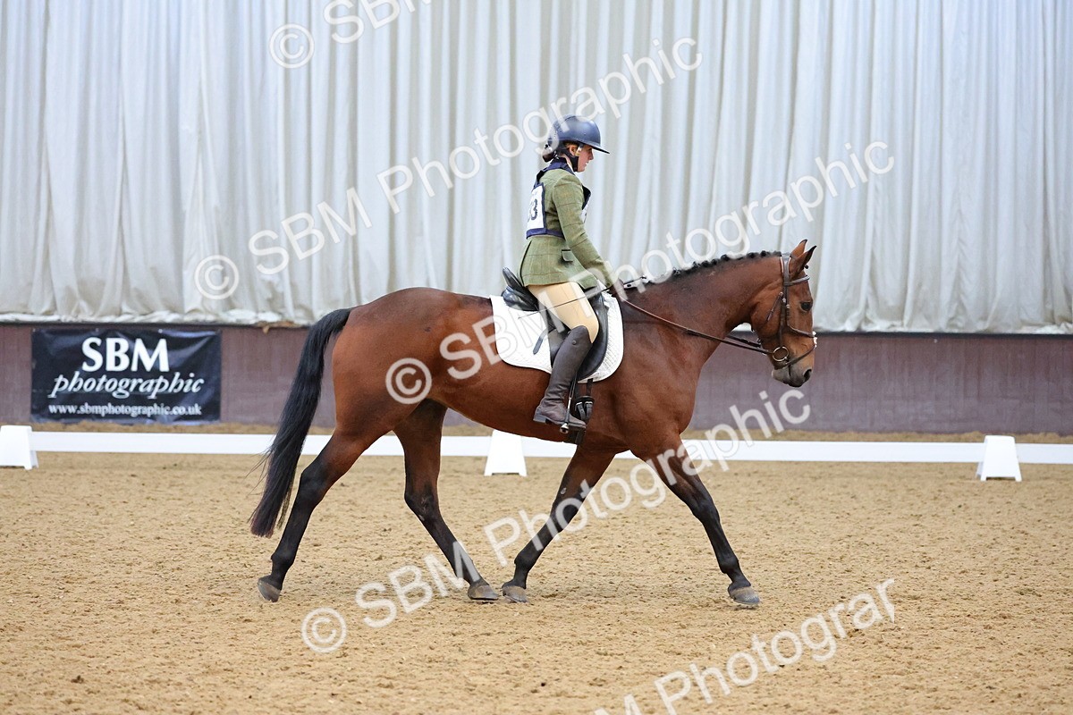 SBM_004246 - Intermediate