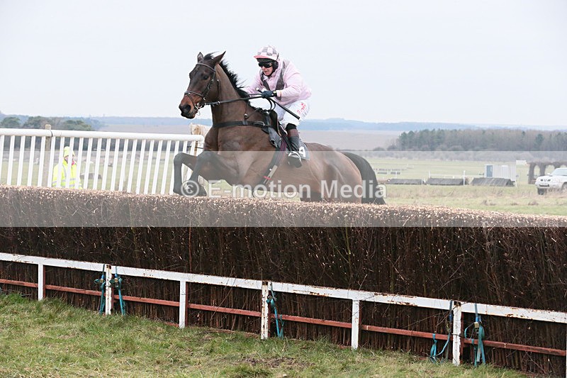 PtP 060119 60 - Larkhill Racing Club - Point-to-Point- 06/01/2019