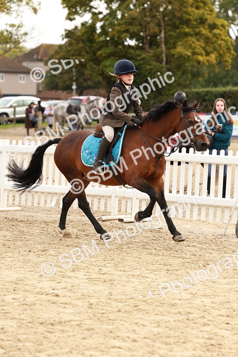 SBM_57738 - J11 - Junior Pony 50cm Championship