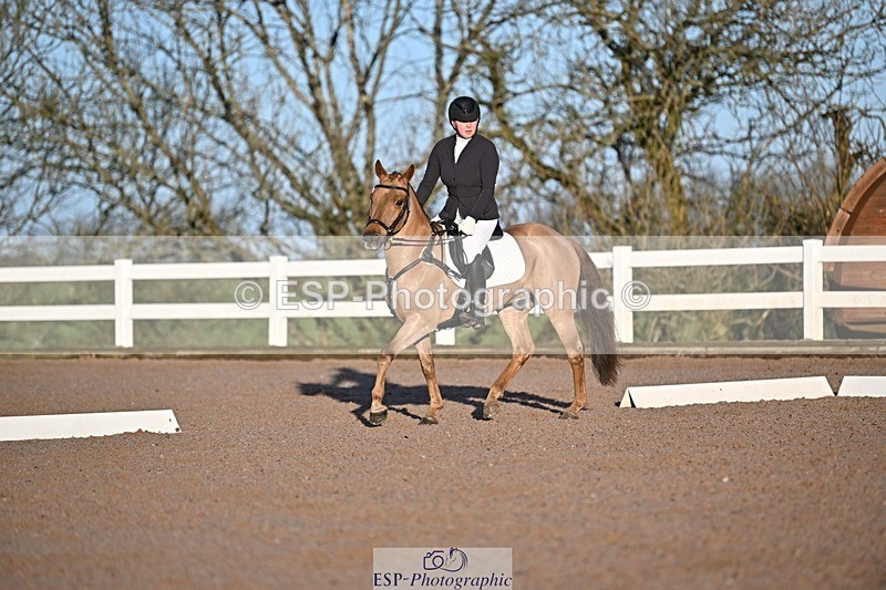 250125-090405-00012 - Dressage - CT Class 1 & 2 Intro 1