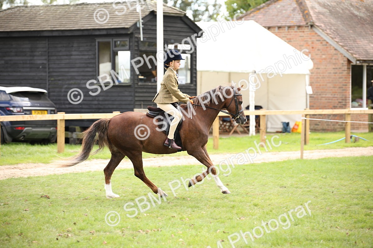 SBM_42312 - S13 - Pony Club Pony