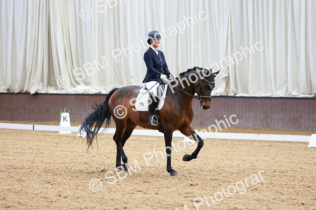 SBM_001463 - Class 5 - Novice 5