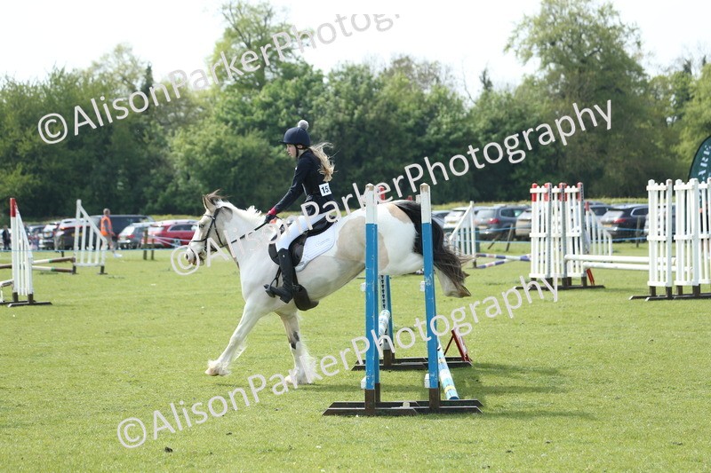 20260426-1648 - Class 14 - Novice 60cm