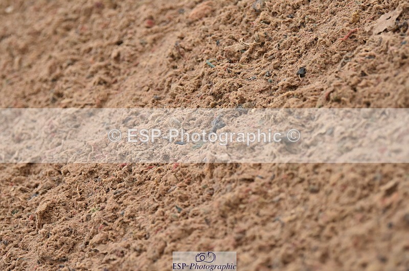 231028A-141454-01855 - Cls 5 Foxhunter & 1.10m Open