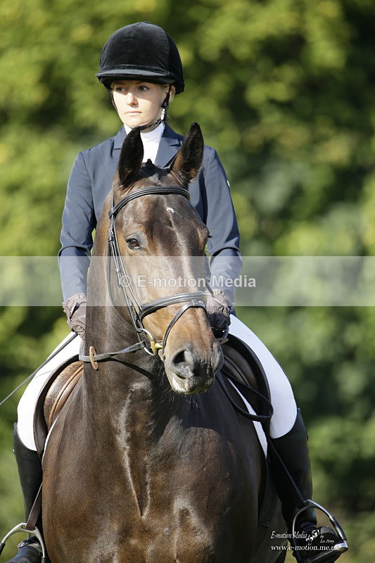BVRC 120921 135 - Bourne Valley Riding Club UA Dressage & Show Jumping 12/09/21