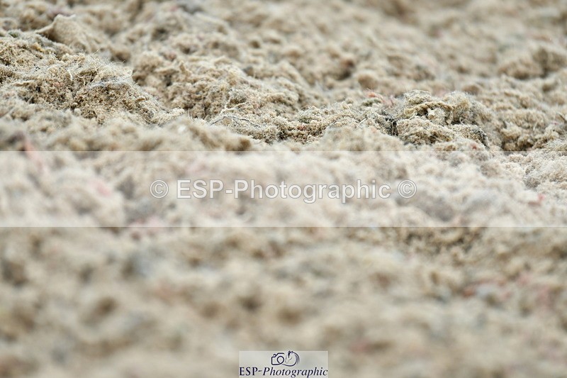 230630A-111921-01326 - Cls 5 Novice 37A