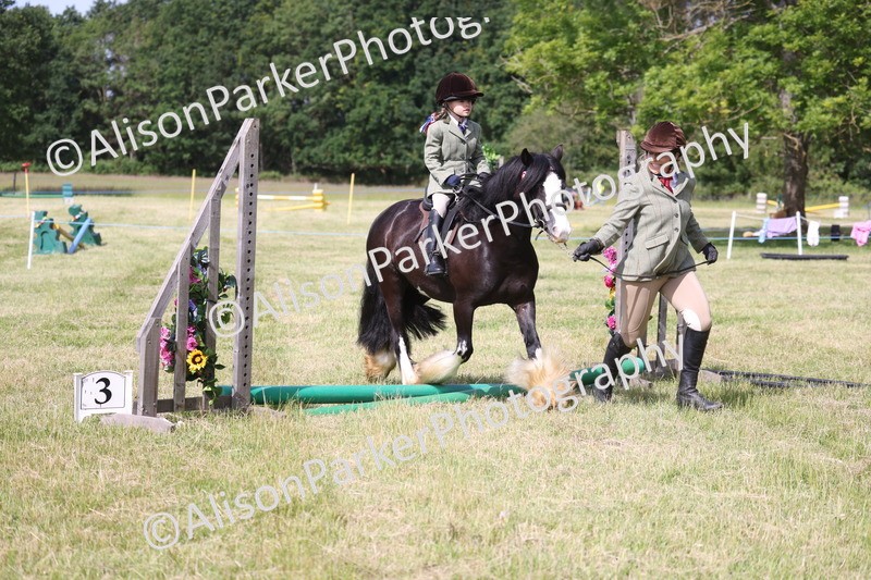 20260614-0615 - Class 20 - Beginners Working Hunter Pony